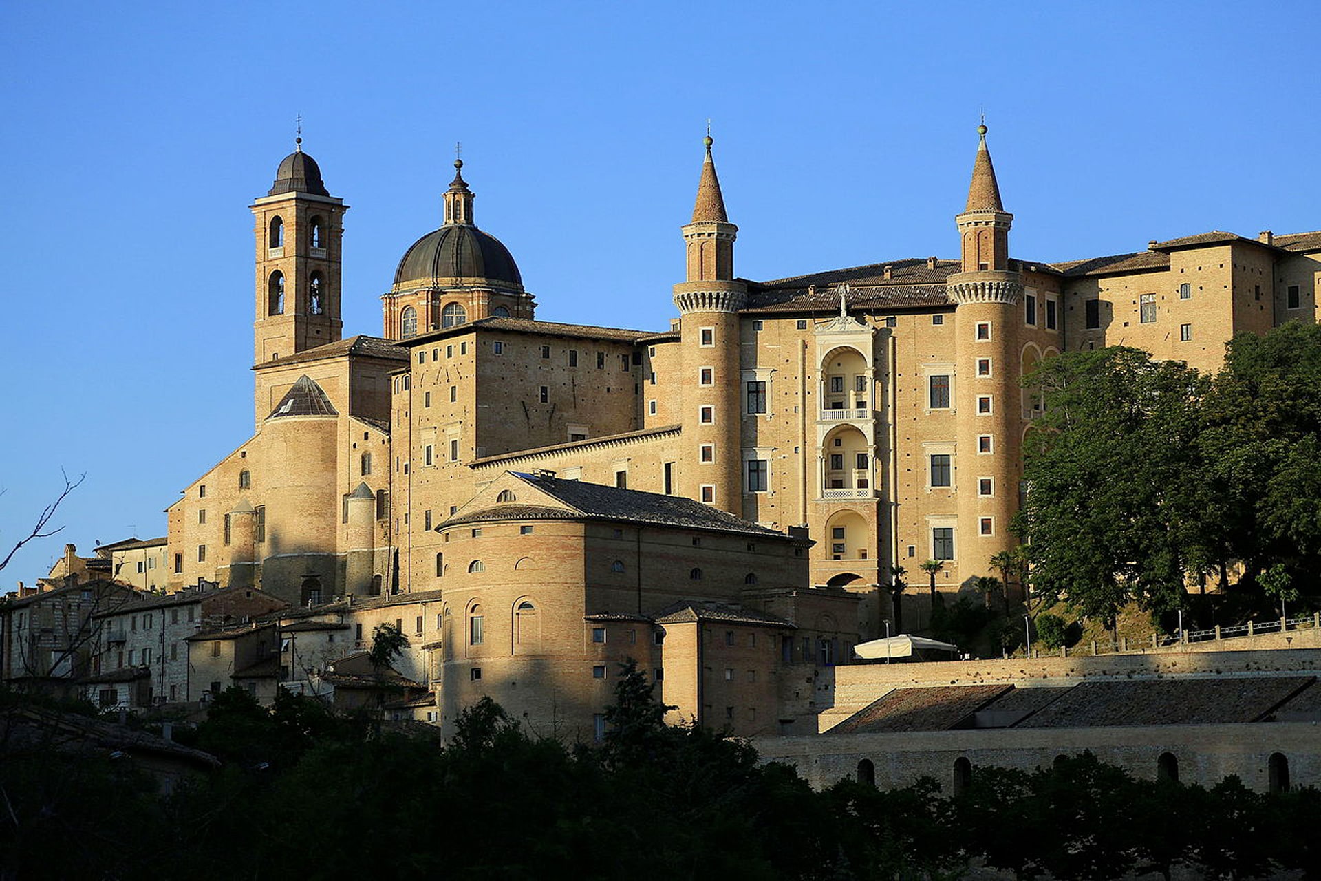 Siti web a Urbino